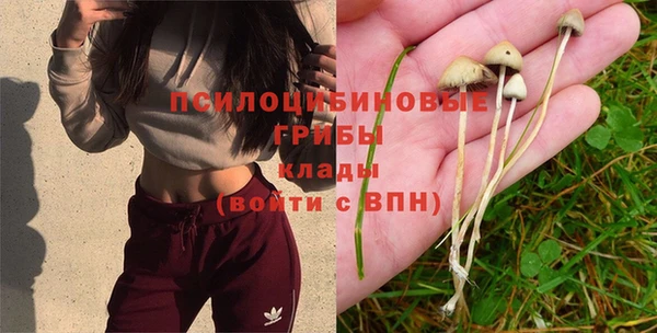 мяу мяу мука Карпинск