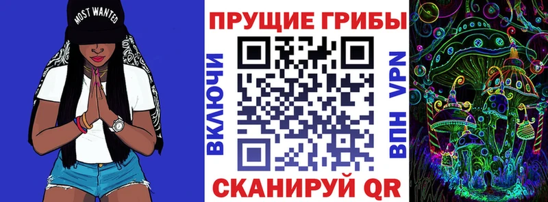 Псилоцибиновые грибы Cubensis  Купить где  Асино 