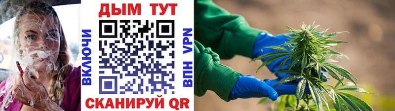Бошки Шишки AK-47  Купить  Асино 